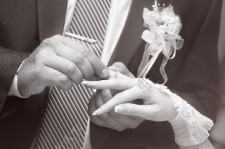 高清结婚戴戒指图片