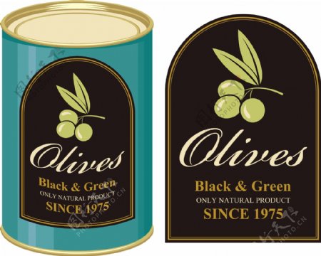 橄榄油标签与包装罐矢量素材下载