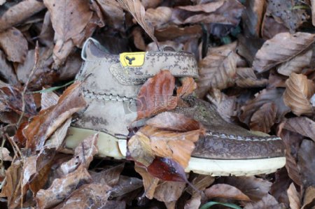 树叶中的鞋子
