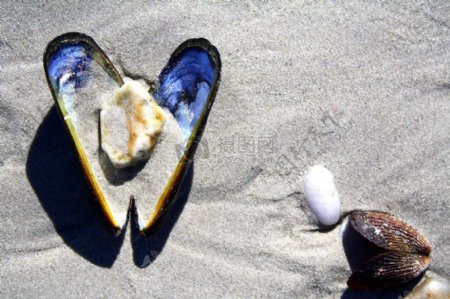 沙滩上的爱心形状
