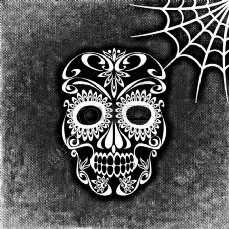 骷髅和交叉骨蜘蛛网背景黑与白