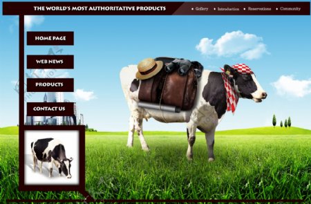 奶牛农场网站素材