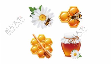 蜂蜜和蜜蜂花图标矢量