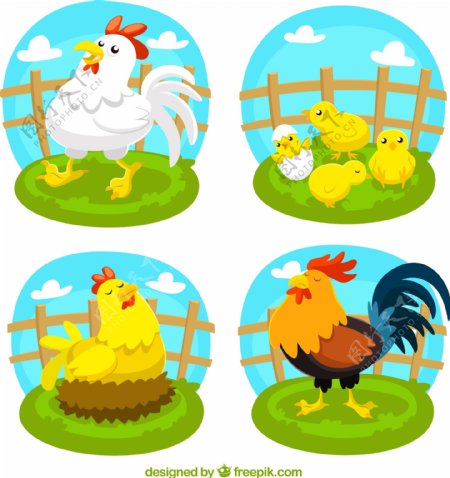 4款可爱农场鸡