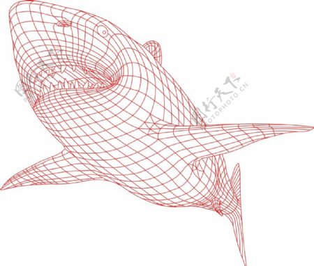 鲨鱼3D立体视觉灯