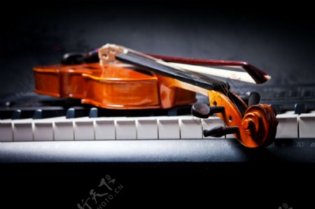钢琴键上的小提琴图片