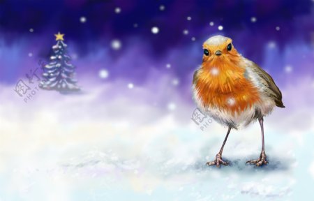 油画雪地中的小鸟图片