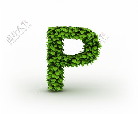 绿叶组成的字母P图片