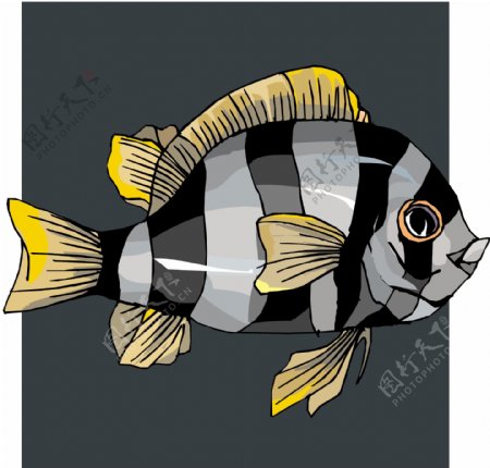 五彩小鱼水生动物矢量素材EPS格式0378