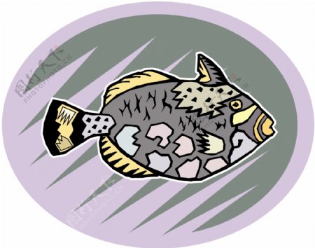 五彩小鱼水生动物矢量素材EPS格式0677