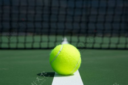 压线的网球图片