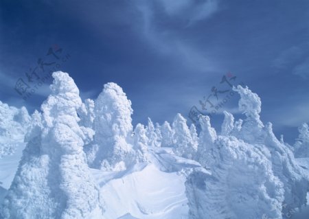蓝天下一望无际的雪景图片
