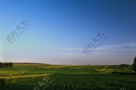 田园风景图片