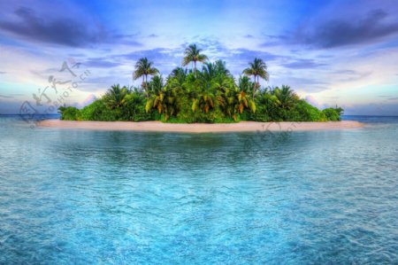 美丽椰树小岛风景图片