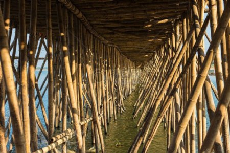 独特的竹桥建筑