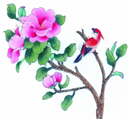 花卉与红色小鸟图片