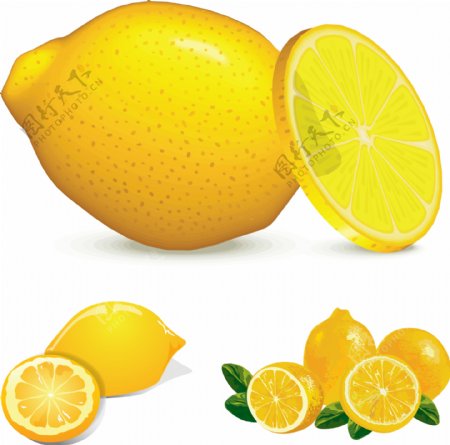柠檬图标图片