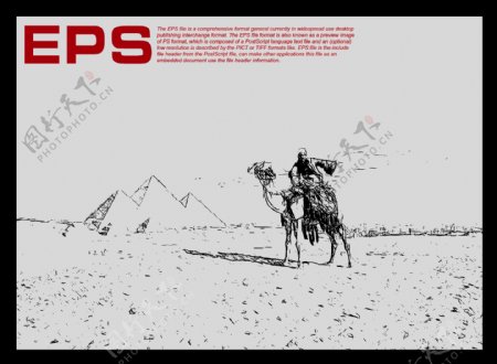 沙漠骆驼矢量剪影图片