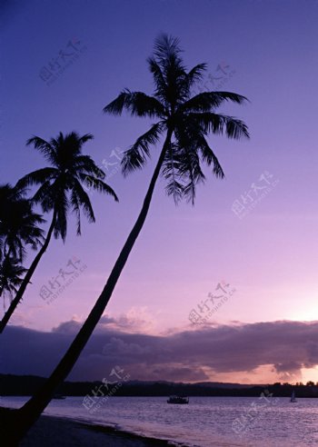 黄昏时的夏威夷海图片