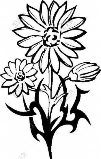 装饰图案花纹花朵图腾矢量素材ai格式27