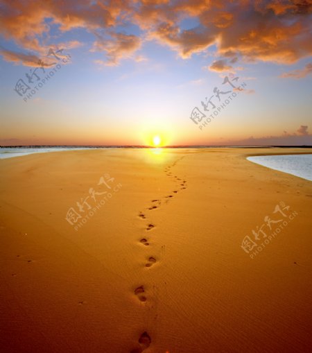 沙漠落日与脚印图片