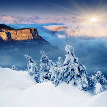 雪景图片