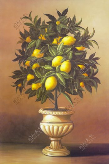 柠檬盆栽油画