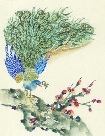 梅花树上的孔雀