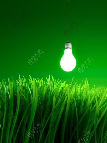 绿草上吊着的灯泡图片