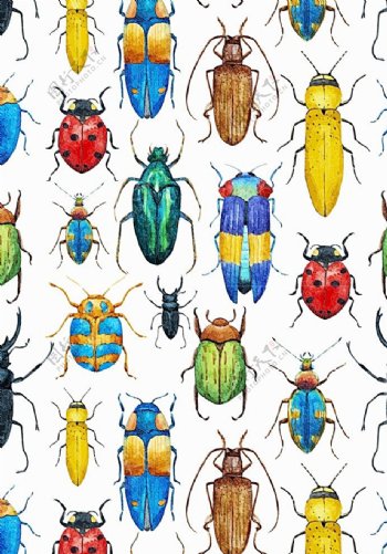 水彩彩色瓢虫昆虫图片