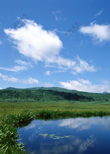 美丽湿地风景