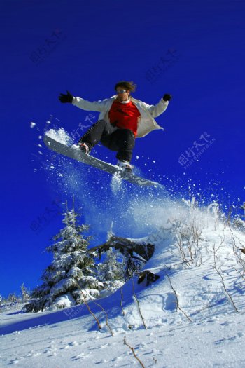 滑雪的青年图片