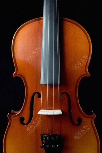 大提琴特写图片