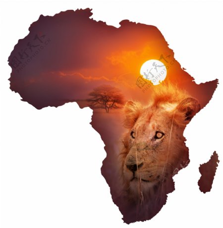 非洲地图与狮子