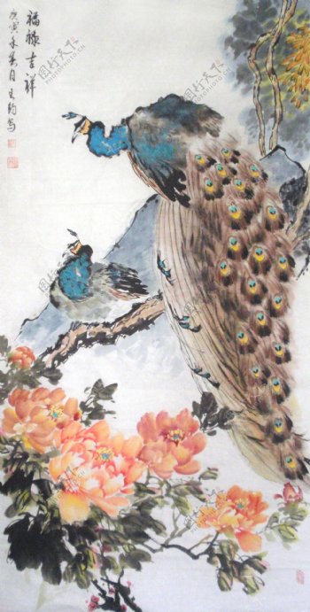 花卉孔雀国画图片
