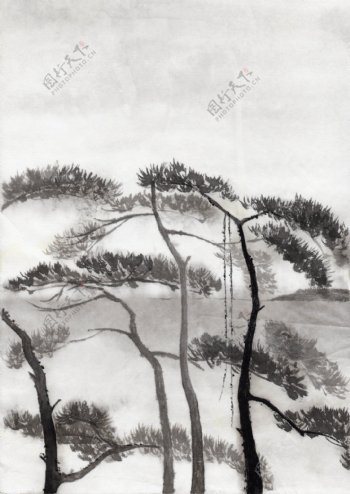 水墨松树图片