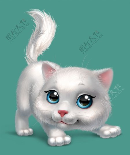 白色可爱小猫图片