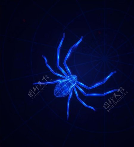 蜘蛛矢量图图片