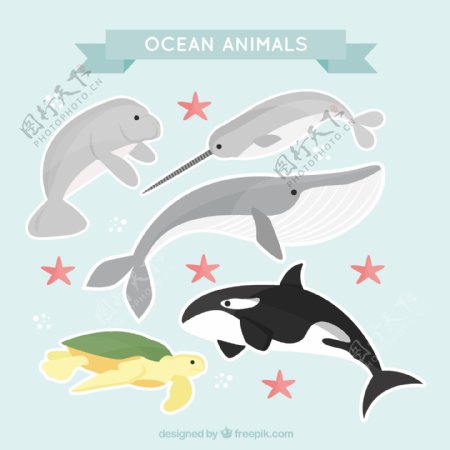 海底海洋鱼类动物素材