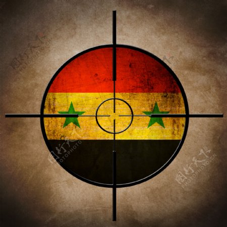 叙利亚国旗的目标