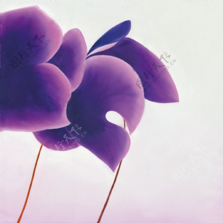 紫色花瓣油画图片