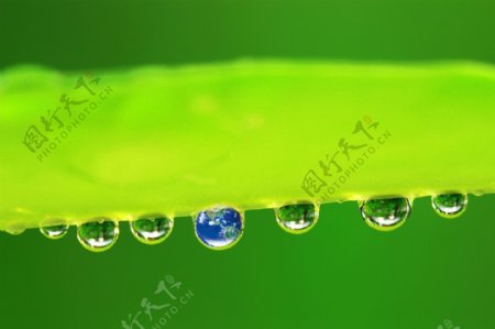 绿叶上的水珠地球图片