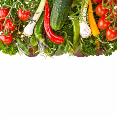 蔬菜背景边框图片