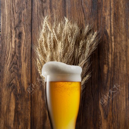 木板上的啤酒与麦穗图片
