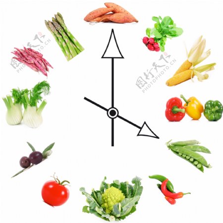 蔬菜与时间图片
