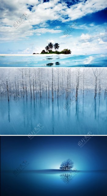 冬季和海上的树