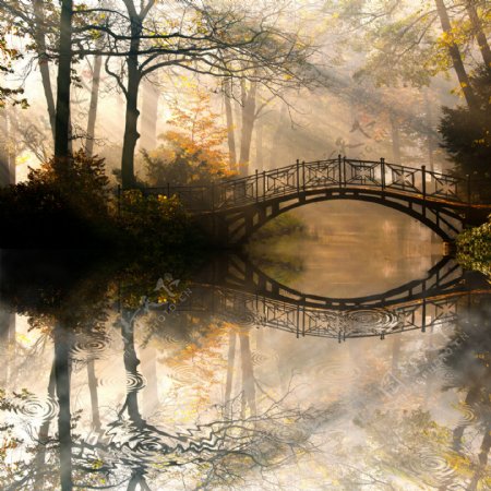 树林拱桥风景