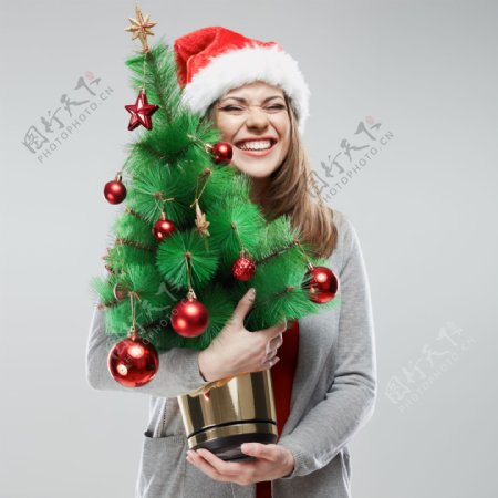 抱着圣诞树的美女图片
