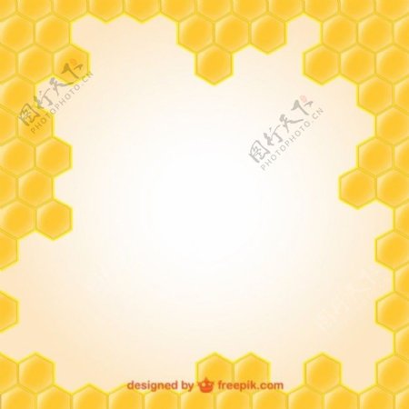 蜂蜜插图壁纸