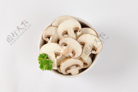 食材蘑菇